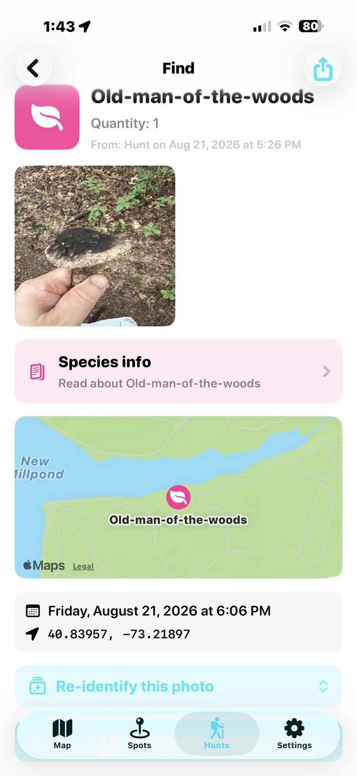 A logged find showing photo, species, map location and coordinates