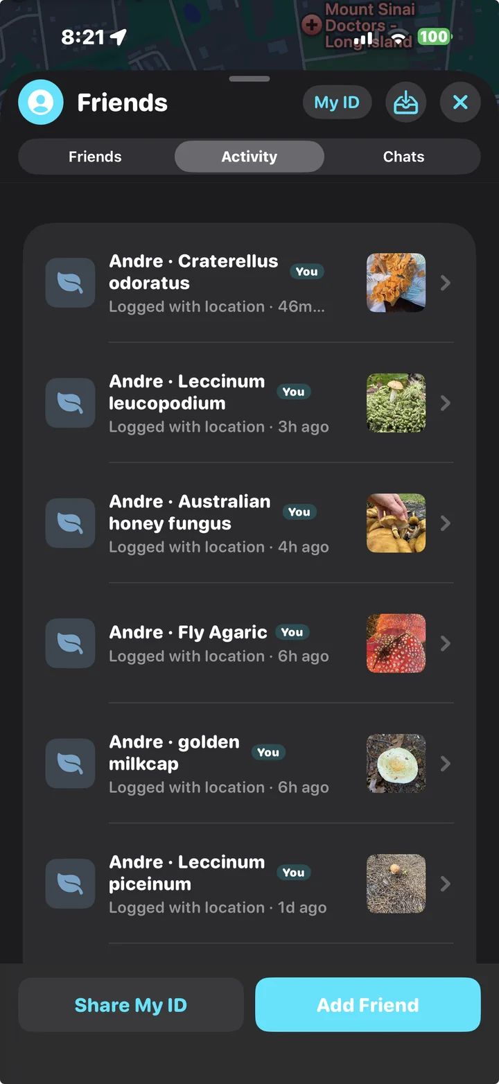 Activity feed of finds logged with location by friends