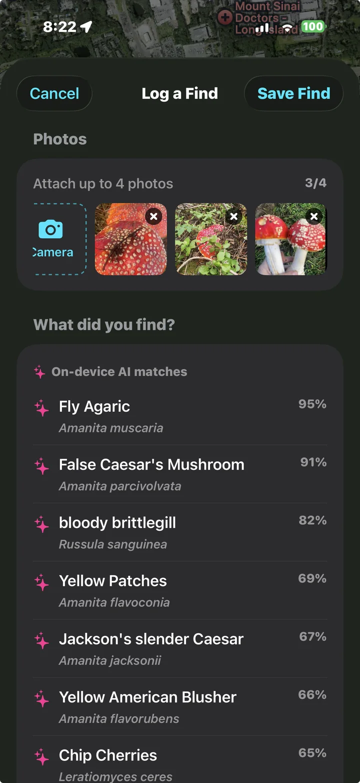 Logging a find with three photos and on-device AI matches ranked by confidence